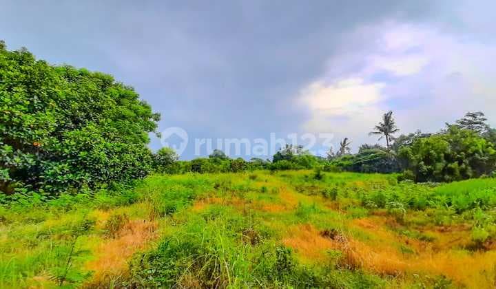 Tanah 1Ha Mauk Sepatan Banten dekat Airport Cengkareng Daan Mogot