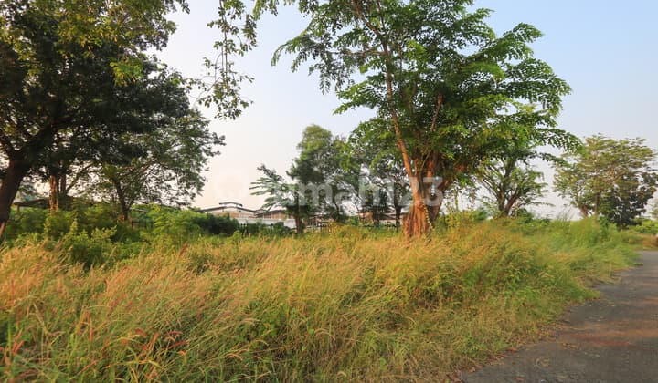Tanah Luas di Tipar Cakung dekat Kelapa Gading Cakung JGC Marunda