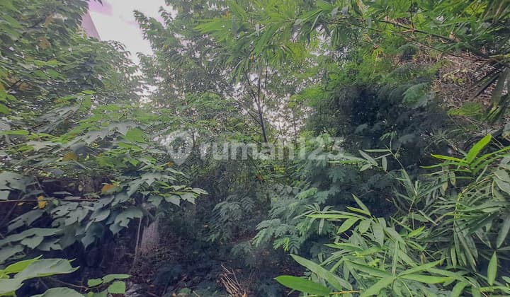 Tanah Tomang Grogol Petamburan, dekat Taman Anggrek Tanjung Duren