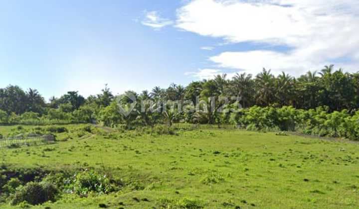 Dijual Tanah Kavling Di Pantai Ujung Genteng Sukabumi