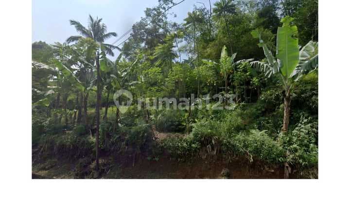 For Sale Tanah Daerah Subang Jawa Barat