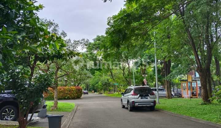 Dijual Atau Disewa Rumah Murah di Perumahan Bsd