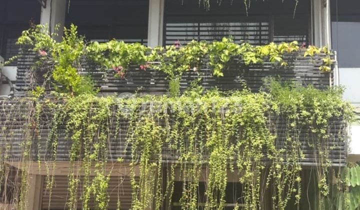 3-story shop house ready for use behind Jameson Intercon 3-story shop house ready for use behind Jameson Intercon