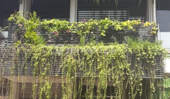 Ruko 3lt siap pakai di belakang jameson intercon