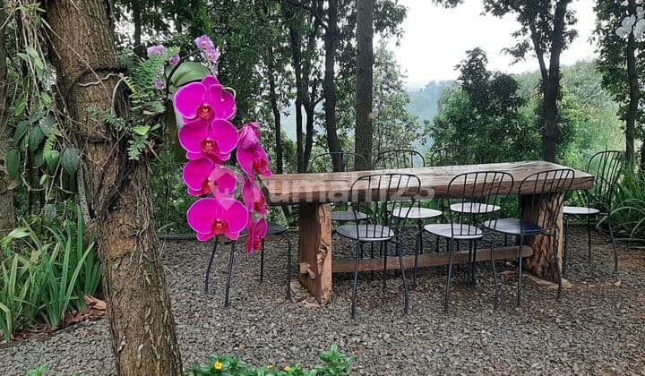 For sale: 1.2 ha nature-themed restaurant in Sentul.