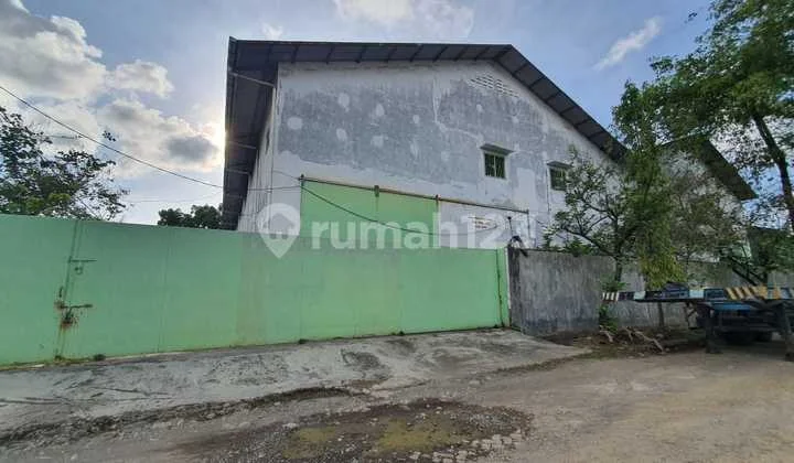 Disewakan Gudang luas 1600m2 di Parangloe Disewakan Gudang luas 1600m2 di Parangloe