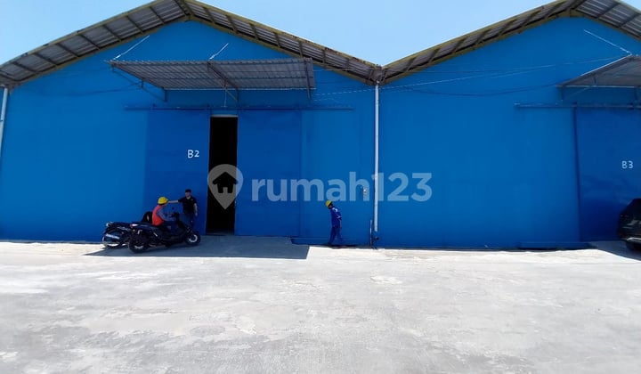 For Rent Warehouse at Low Price in SPPBE Warehouse, Tamalanrea, Makassar (October), Tamalanrea For Rent Warehouse at Low Price in SPPBE Warehouse, Tamalanrea, Makassar (October), Tamalanrea