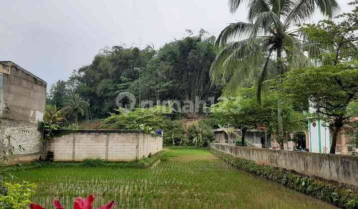 Jual Tanah Sawah Cikalong Wetan