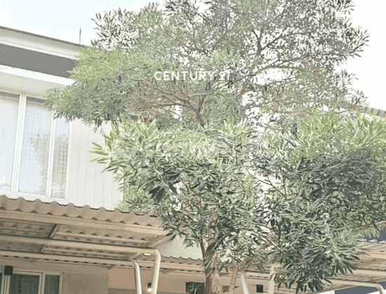 For Sale Beautiful Ready to Live Home Facing Park In Emerald Bintaro