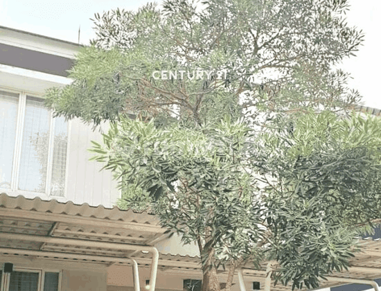 Dijual Rumah Siap Huni Bagus Depan Taman di Emerald Bintaro