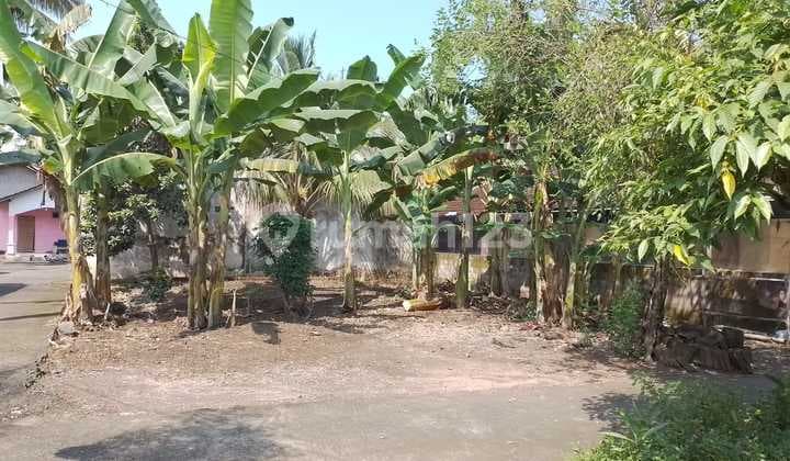 Tanah Bagus Pekarangan Di Sidoluhur Godean