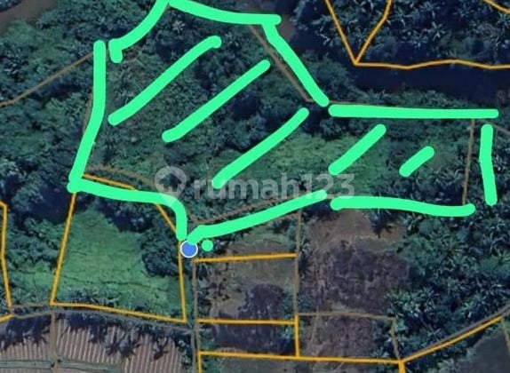 Kavling Desa Banjar Gelumpang, Sukawati, Gianyar Dekat dengan Pasar Oleh2