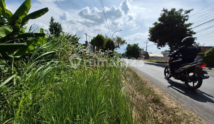 Harga bisa Nego - Tanah Kavling Nol Raya Benjeng Kabupaten Gresik