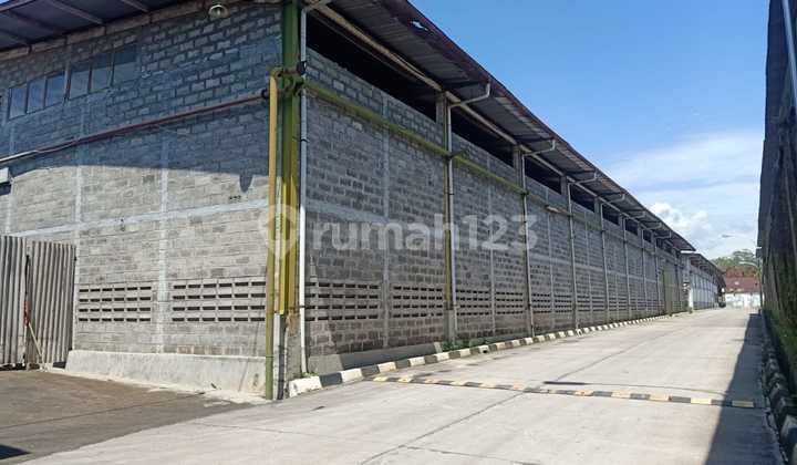 Disewakan Gudang Mainroad Ketapang Akses Kontainer 40ft