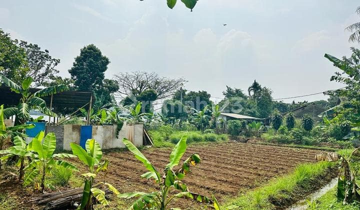 Dapatkan Tanah Luas Dengan Luas Total 906 M2 di Situ Cilodong, Depok