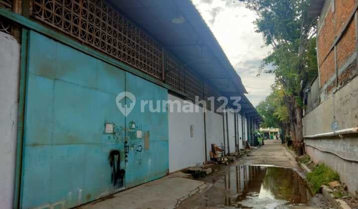 Disewakan Gudang di Muara Baru, Jakarta Utara Luas =660 M2