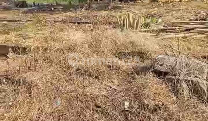 Dijual Murah Tanah di Rorotan Jakarta Utara