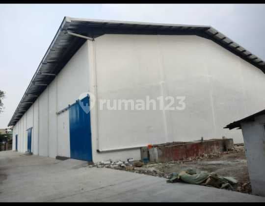 For Rent Warehouse (new) in Muara Baru