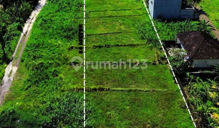 Sell Land Near Bypass Ir. Sukarno Tabanan & Kasih Ibu Hospital