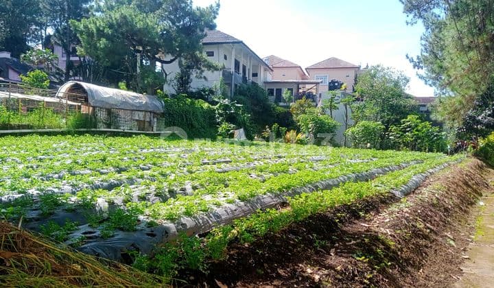 Tanah Kavling Vib Siap Bangun Dikawasan Wisata Turun Harga