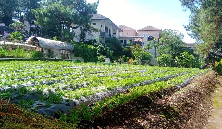 Tanah Kavling Vib Siap Bangun Dikawasan Wisata Turun Harga