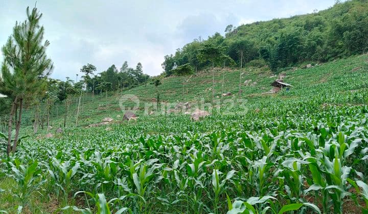 Tanah Pemandangan Kota Dekat Kotabaru Arjasari Bandung