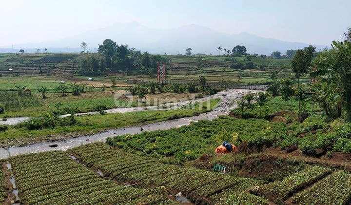 Tanah Tepi Sungai Untuk Villa Kebun Camping Ground Cabin