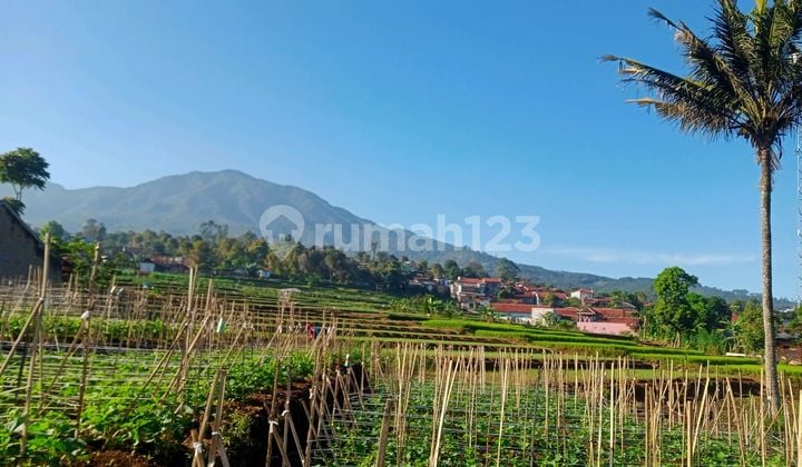 Tanah Murah Shm Di Jalan Raya Wisata Gunung Puntang