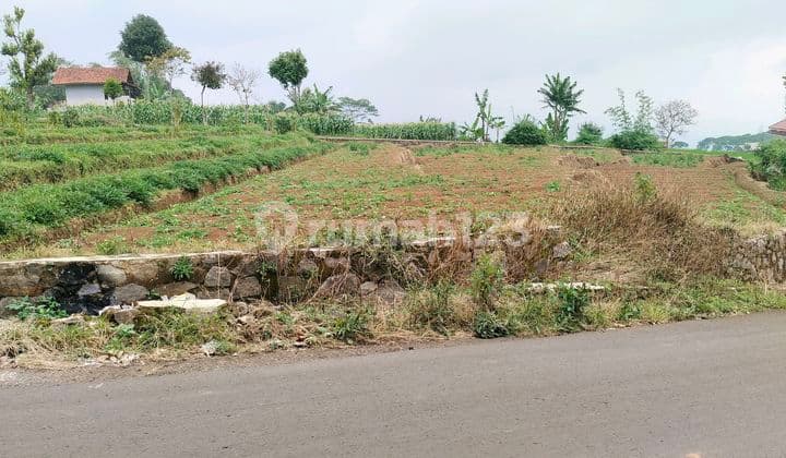 Tanah SHM Banjaran Gunung Puntang Masuk Mobil untuk Villa