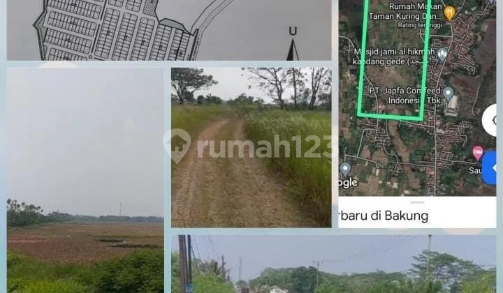 Tanah Murah Untuk Industri Jalan Raya Kronjo Balaraja Tangerang.
