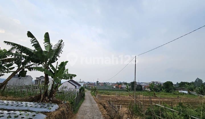 Tanah Matang Cihanjuang Parongpong Bandung