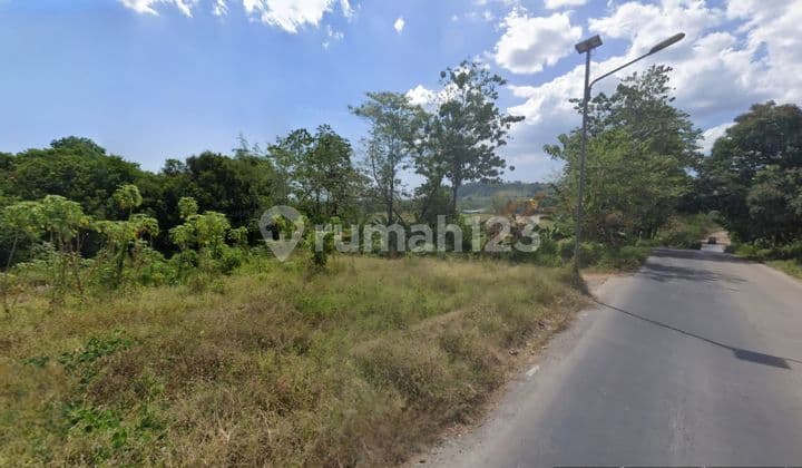 Dijual Tanah Luas 3 Hektar di Desa Pallantikang, Kab. Gowa, Sulawesi Selatan