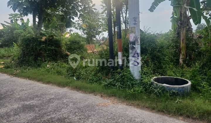 Dijual Cepat Tanah Pekarangan Strategis dan Murah Bonus Sumber Air Dekat Tebing Breksi Prambanan