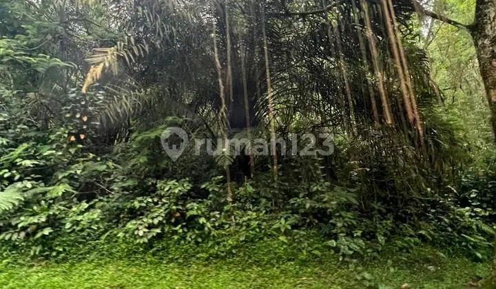 Mega. Indah. Kav. Siap Bangun. Satu Satunya. Dihuk View. Nya Dapat