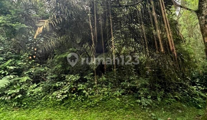 Mega. Indah. Kav. Siap Bangun. Satu Satunya. Dihuk View. Nya Dapat