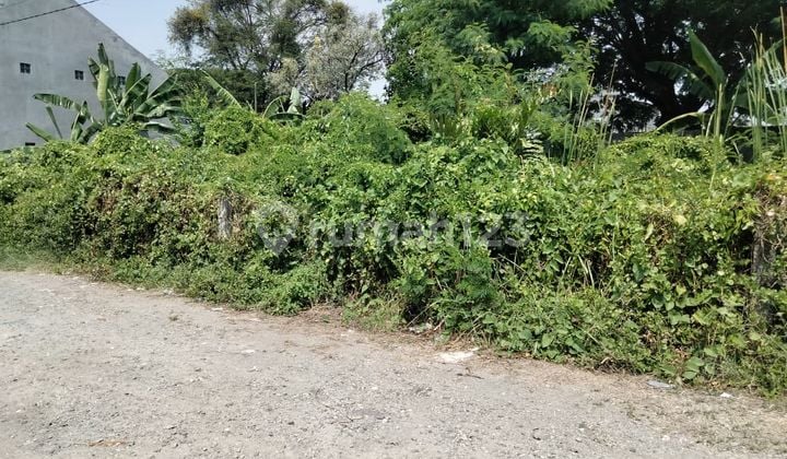 DIJUAL tanah Murahhhhh 2 jutaan per meter Medokan sawah timur DIJUAL tanah Murahhhhh 2 jutaan per meter Medokan sawah timur