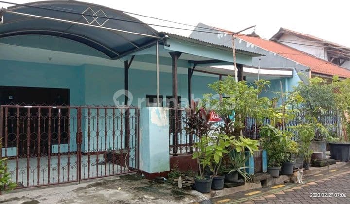 Jual Cepat Murahhrungkut Menanggal Harapan