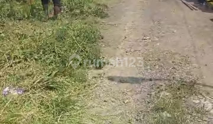 Dijual tanah Medayu Utara Murahhh SHM