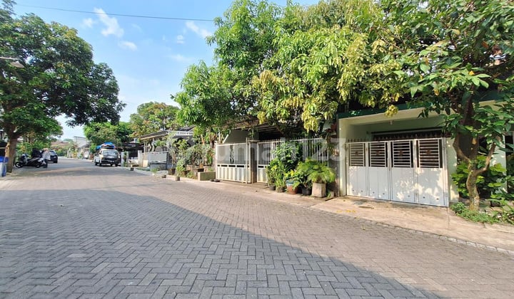 Rumah Luas 150 Area Tidar Dekat Dieng Ijen