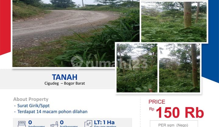 DIJUAL Tanah 1 Ha di Lebak Wangi Cigudeg Bogor