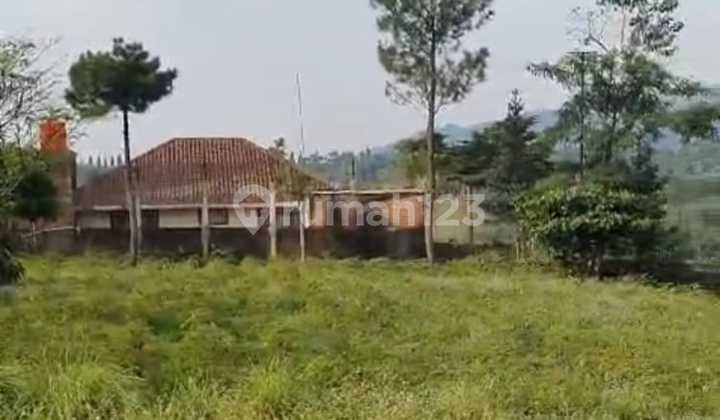 Quick Sale of Land for Villa Near Sumarecon Bogor