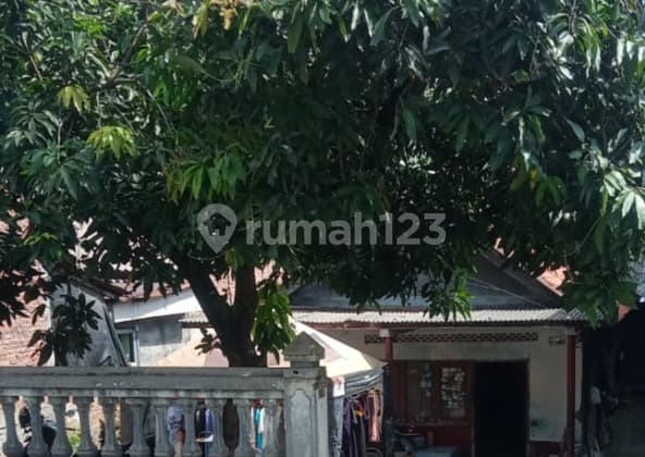Dijual Tanah Bonus Bangunan Sambiroto Dekat Unimus Primaya Unkaha Superindo