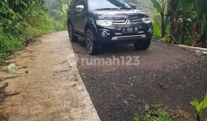Dijual Tanah SHM Perkebunan Limbangan Kendal Jalan Mobil Lancar Sampai Lokasi