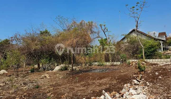 Dijual Segera Tanah Shm Siap Bangun Batu Karang Semanding Tuban Jawa Timur Tanah di Simpang Jalan Kumala - Kumala VI, Perumahan Bukit Karang, Jl. Kumala, Karang, Semanding, Tuban, Jawa Timur, Indonesia, 62381, Semanding Dijual Segera Tanah Shm Siap Bangun Batu Karang Semanding Tuban Jawa Timur Tanah di Simpang Jalan Kumala - Kumala VI, Perumahan Bukit Karang, Jl. Kumala, Karang, Semanding, Tuban, Jawa Timur, Indonesia, 62381, Semanding