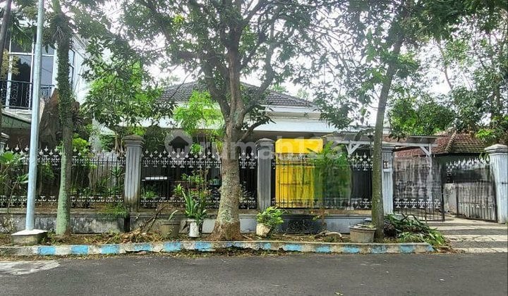Classic Large House in the City Center of Indragiri Purwantoro