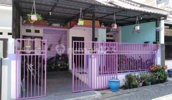 Rumah Minimalis Murah di Cakalang Blimbing Malang