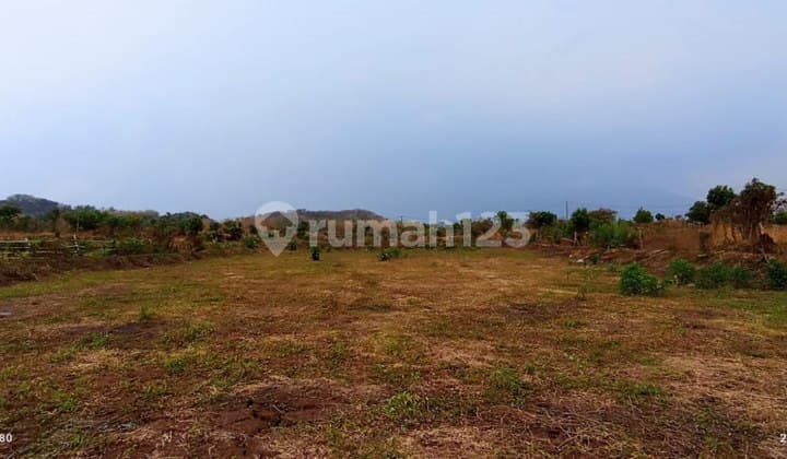 Tanah Murah Bonus Gudang Strategis di Zona Industri Pandaan