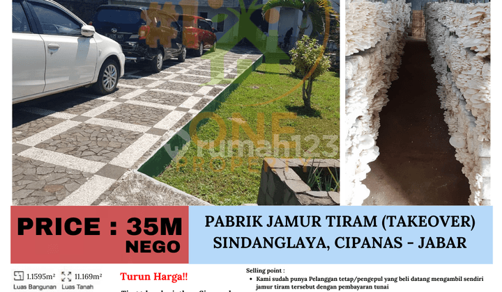 Turun Harga!! Dijual Pabrik Takeover Jamur Tiram, Sindanglaya, Cipanas, Cianjur - Jawa Barat