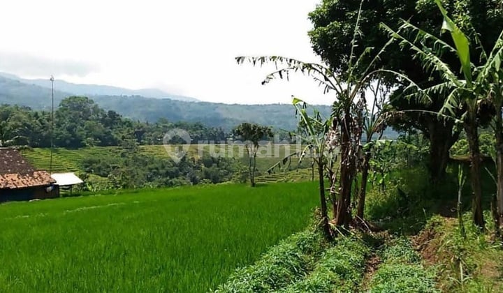 Jual Tanah SHM di Nagrek Bandung