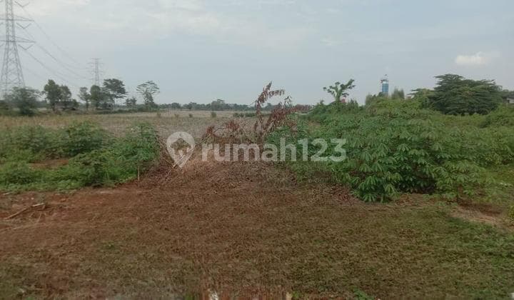 Jual Tanah Dan Bangunan di Bojong Pekalongan